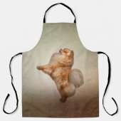 Dog Pomeranian Spitz Schort (Voorkant)