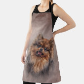 Dog Pomeranian Spitz Schort (Insitu)