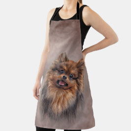 Dog Pomeranian Spitz Schort