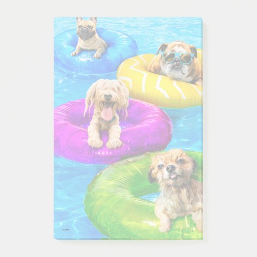 Dog Pool Party Post-it® Notes (Voorkant)