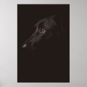 DOG PORTRAIT POSTER (Voorkant)