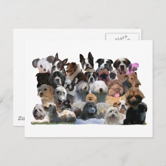 Dog Portraits Briefkaart (Voorkant / Achterkant)