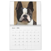 Dog Portreits Calendar Kalender (Mar 2026)