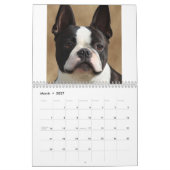 Dog Portreits Calendar Kalender (Mar 2027)