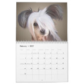 Dog Portreits Calendar Kalender (Feb 2027)