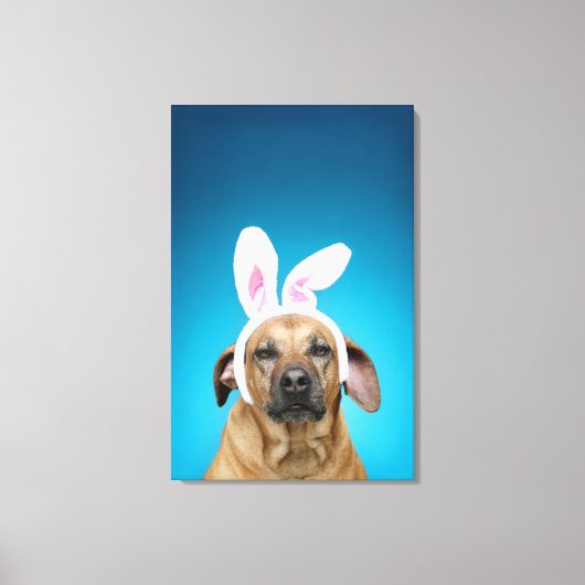 Dog portret met paasbroodoren canvas afdruk (Voorkant)