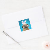 Dog portret met paasbroodoren vierkante sticker (Envelop)