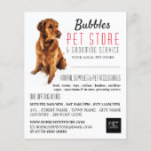Dog Portret, Pet Store & Groomers Adverteren Flyer (Voorkant)