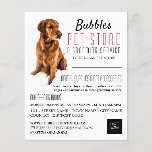 Dog Portret, Pet Store & Groomers Adverteren Flyer (Voorkant)