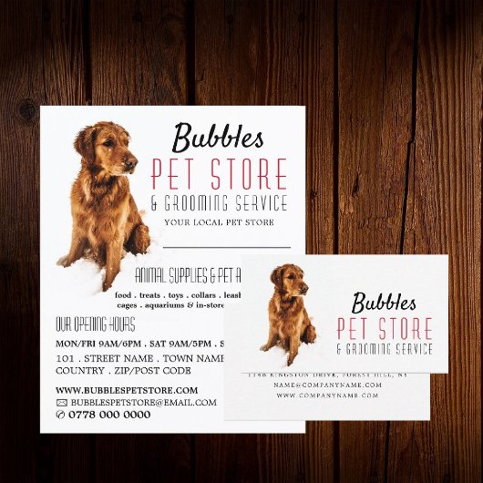 Dog Portret, Pet Store & Groomers Adverteren Flyer