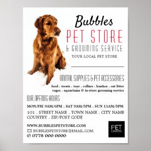Dog Portret, Pet Store & Groomers Adverteren Poster