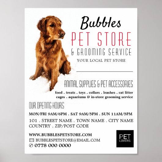 Dog Portret, Pet Store & Groomers Adverteren Poster (Voorkant)