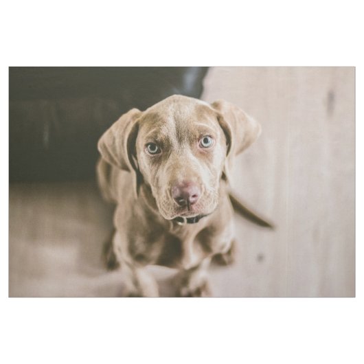 Dog portret stof (Yard (91,4 cm))