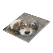 Dog portret tegeltje (Zijkant)