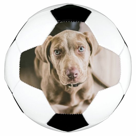 Dog portret voetbal (Voorkant)