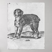 Dog Poster (Voorkant)