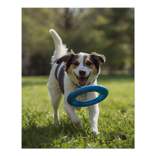 DOG POSTER (Voorkant)