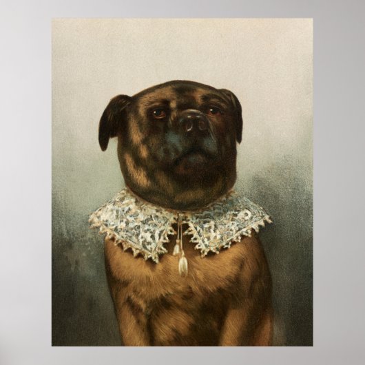 Dog Poster (Voorkant)