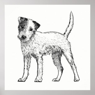 Dog Poster/Wall Art Jack Russell Terrier Poster
