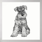 Dog Poster/Wall Art Schnauzer Poster (Voorkant)