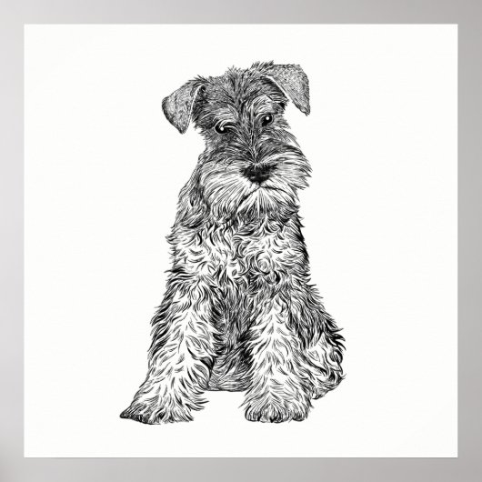 Dog Poster/Wall Art Schnauzer Poster (Voorkant)