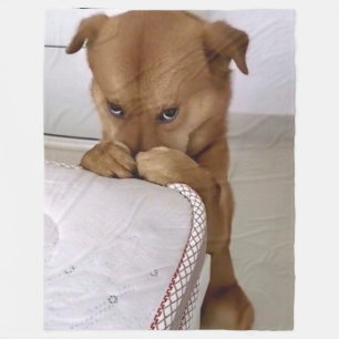 DOG PRAYING FLEECE DEKEN