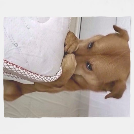 DOG PRAYING FLEECE DEKEN (Voorkant (Horizontaal))