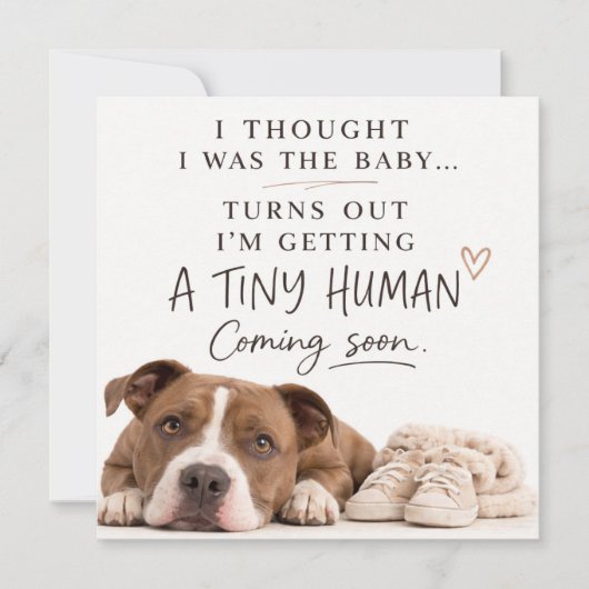 Dog Pregnancy Announcement Card Kaart (Voorkant)