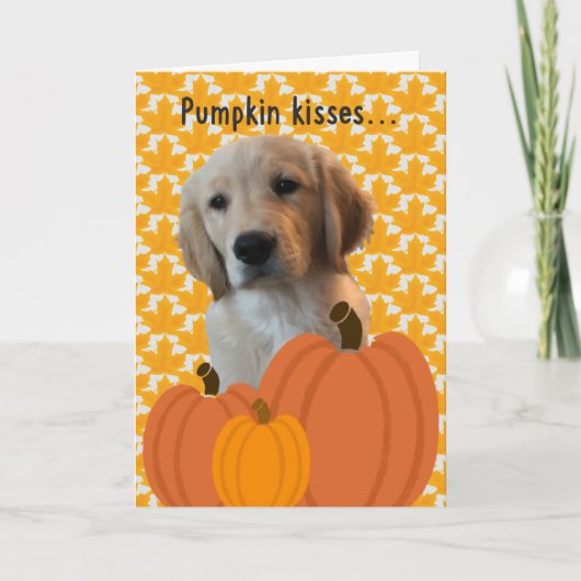 Dog Pumpkin Kisses Thanksgiving Kaart (Voorkant)