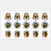 Dog Pun Round Photo Treats Labels (Vel)