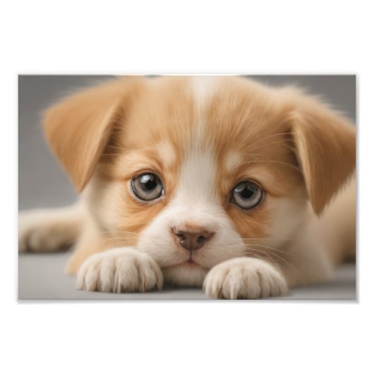 Dog Puppy Foto Afdruk (Voorkant)