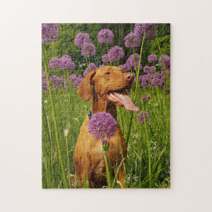Dog Puzles Animal Pic Cute Sad Puppy Foto van een Legpuzzel
