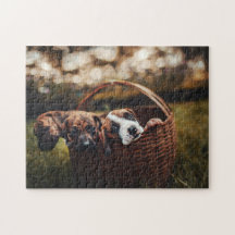 Dog Puzles Animal Pic Cute Sad Puppy Foto van een 