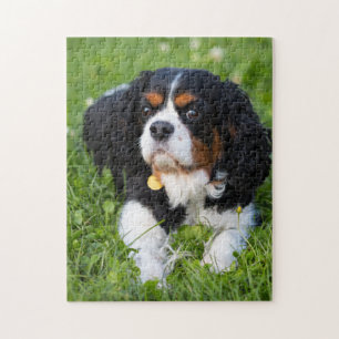 Dog Puzles Animal Pic Cute Sad Puppy Foto van een Legpuzzel