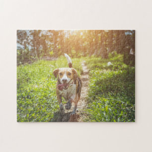 Dog Puzles Animal Pic Cute Sad Puppy Foto van een Legpuzzel