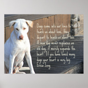 Dog Quote Poster - Erica Jong