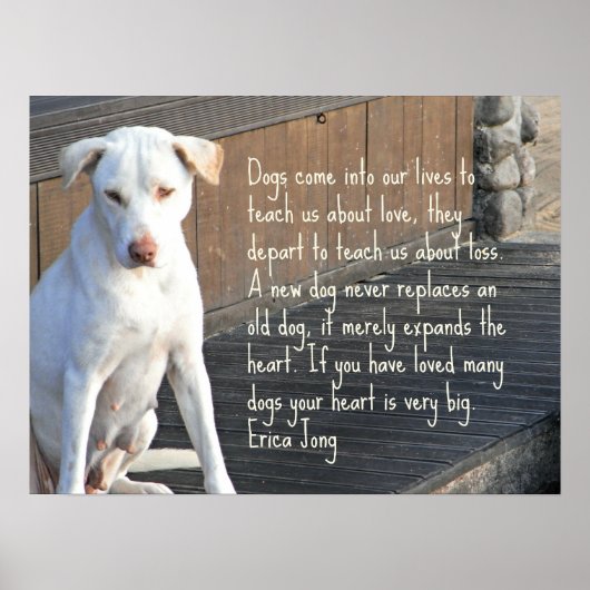 Dog Quote Poster - Erica Jong (Voorkant)