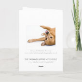 Dog Rasberry Kaart (Achterkant)