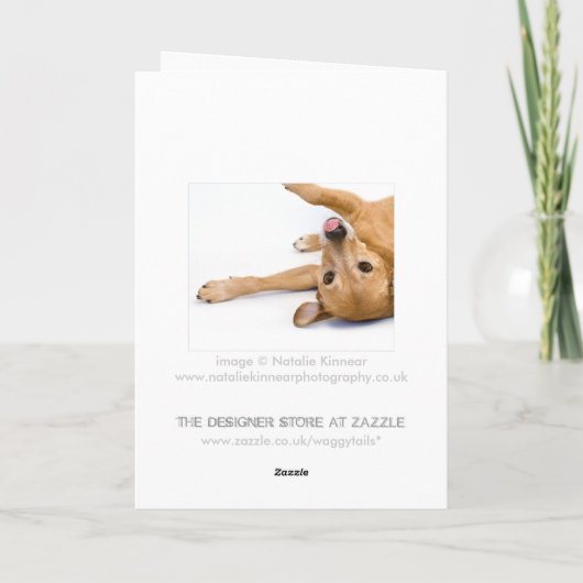 Dog Rasberry Kaart (Achterkant)