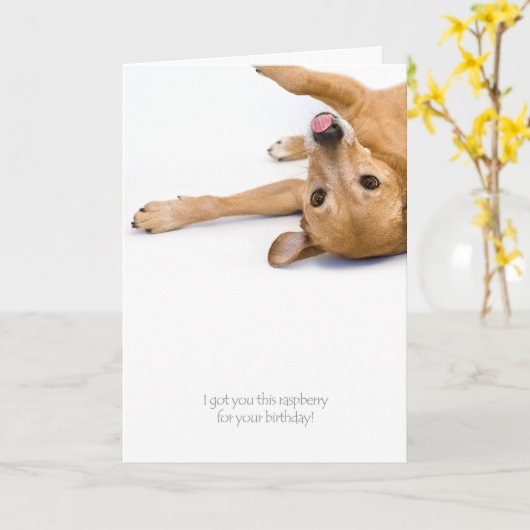 Dog Rasberry Kaart (Gele Bloem)