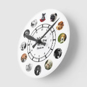 DOG Rescue Shelter Rehoming 12 FOTO Collage genaam Ronde Klok (Hoek)