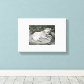 Dog Resting On A Rock Canvas Afdruk (Insitu (Houten vloer))