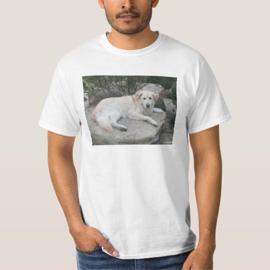 Dog Resting On A Rock T-shirt (Voorkant)