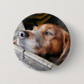 DOG RONDE BUTTON 5,7 CM (Voorkant)