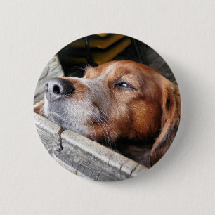 DOG RONDE BUTTON 5,7 CM