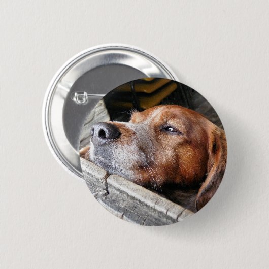 DOG RONDE BUTTON 5,7 CM (Voorkant /achterkant)