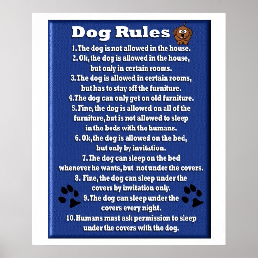 Dog Rules - Poster (Voorkant)