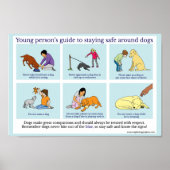Dog Safety poster (Voorkant)