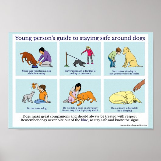 Dog Safety poster (Voorkant)
