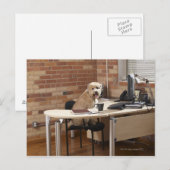 Dog-sessie op bureau briefkaart (Voorkant / Achterkant)